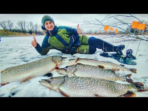 ВОТ ЭТО МОНСТРЫ! НА 3-ий ДЕНЬ ПОПЕРЛО! Зимняя рыбалка 2025.
