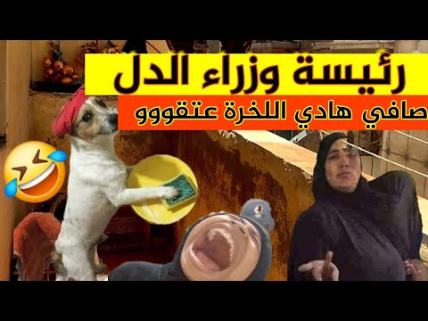 خطبوني زماكريا باش نشقا عليهم مايمكنش الدل دخلو دفلو عليا و كيفاش نتاقمت💔🤣🤣