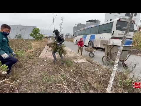 Clearing Sidewalks: Rescuing Streets from Trash & Weeds Dumped by Workers & Drivers. ( Full )