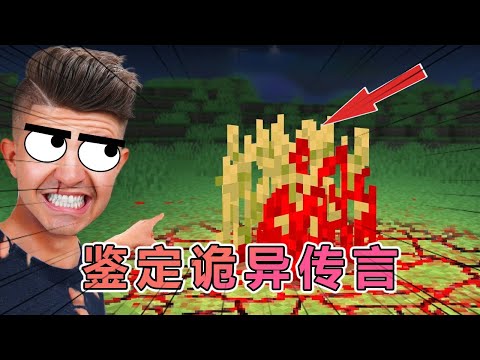 我的世界:朵拉老哥鉴定那些看完夜不能寐的诡异谣言 #我的世界 #minecraft #阿柴MC