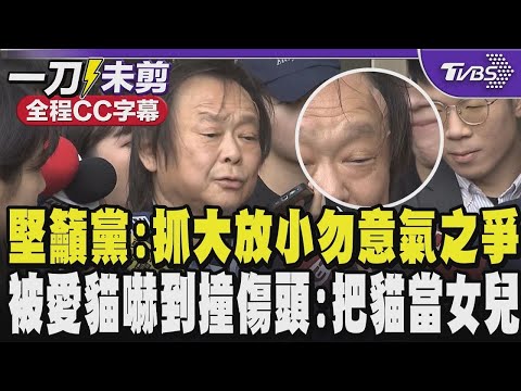 【全程CC字幕】王世堅:行政院不副署 身為執政黨的立委 黨怎麼決定我們只能就跟著遵守 呼籲黨:要抓大放小 勿意氣之爭 被愛貓嚇到撞傷頭:把貓當女兒疼|TVBS新聞