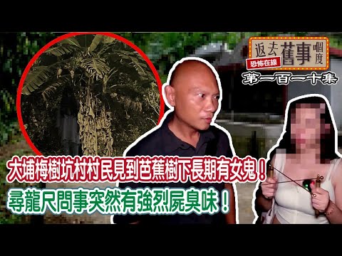 大埔梅樹坑村村民見到芭蕉樹下長期有女鬼!尋龍尺問事突然有強烈屍臭!