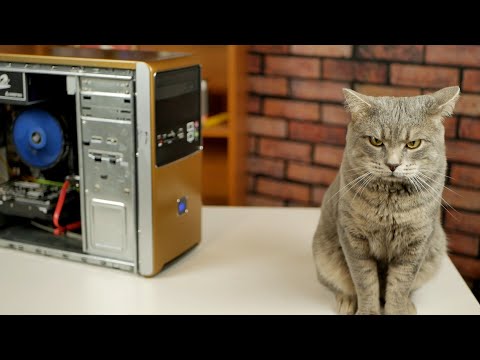 Golden Chinese build of a Homeless PC / Making money on junk / Xeon W3550 (not) pulling the strings