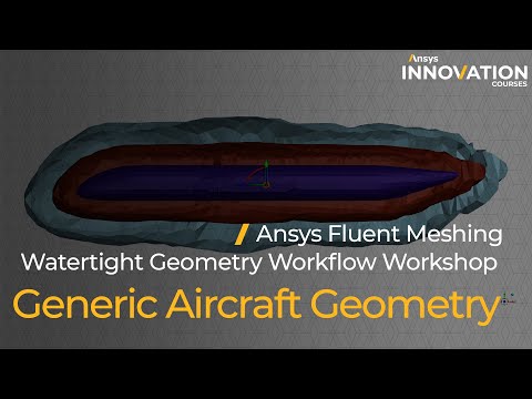 Generic Aircraft Geometry Tutorial Using Ansys Fluent Meshing Watertight Geometry Workflow