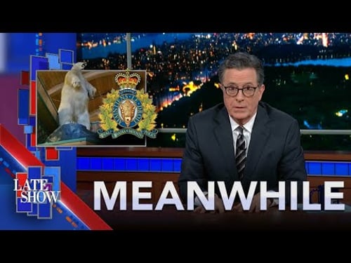 Meanwhile… Stolen Polar Bear | Monkey On The Run In Scotland | The $1,780 Lemon