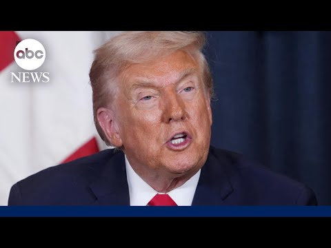 Trump has no power to 'meddle with elections': Legal scholar