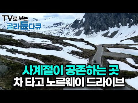 펼쳐진 대자연을 따라 달리는 노르웨이 자동차 여행! 피오르가 만든 해안선을 따라 아틀란틱 로드를 달려보다|세계테마기행|#골라듄다큐