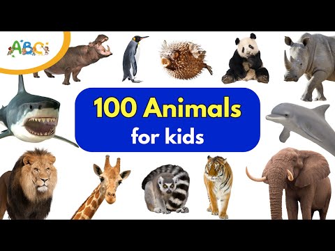 100 Animals for Kids | Learn Animal Names with 100 Different of Wild & Sea Animals for Kids