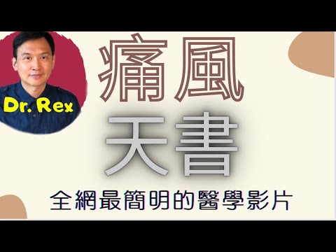 (中英字幕EngSub)痛風症: 網上最易明白關於痛風症的影片;病因、病徵、食療及藥物資訊一目了然 An idiot guide to gout and how to get rid of it