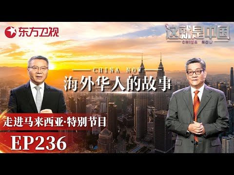 这就是中国|第236期:海外华人的故事|#这就是中国|China Now|FULL