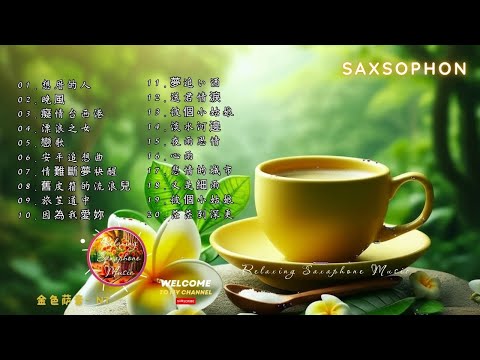 【100% 無廣告 ,放鬆音樂】薩克斯風輕音樂 往事難追憶 薩克斯風演奏 台語老歌 (漂浪之女.癡情台西港.快樂的出帆 .情難斷夢袂醒.想厝的人)