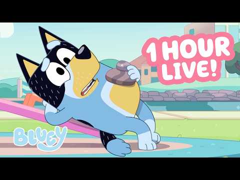 π΄LIVE: Big Blue Meanie! π π | Dad on the Seesaw | 60 MINUTES Bluey Clips Compilation π | Bluey