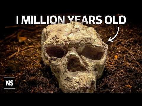 Humans May Be Far Older Than We Thought