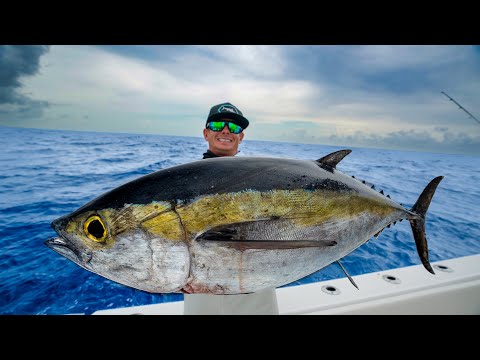GIANT Blackfin tuna in ROUGH seas... Catch Clean Cook!