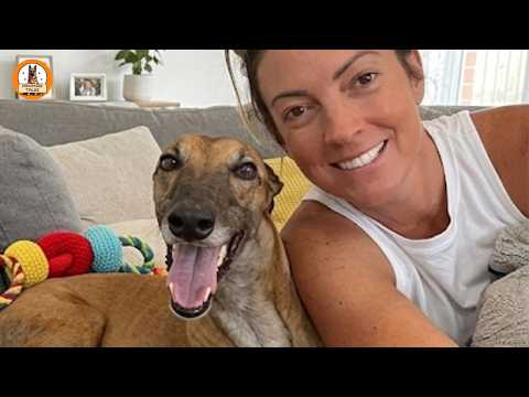 We Rescued a Retired Racing Greyhound…But She Didn’t Know How to Live Inside