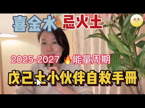 2025-2027火能量周期 喜金水忌火土 戊己土小伙伴自救手册