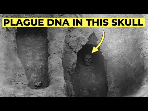 Ancient DNA Finally Uncovers the REAL Origin of the Black Death