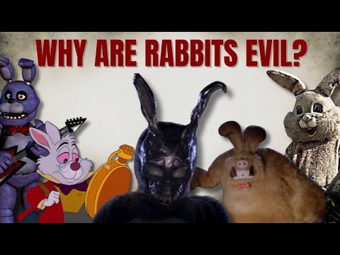 Why Do Rabbits Symbolize Violence?