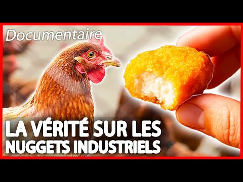 The Truth About Chicken Nuggets - Investigation - Full Documentary