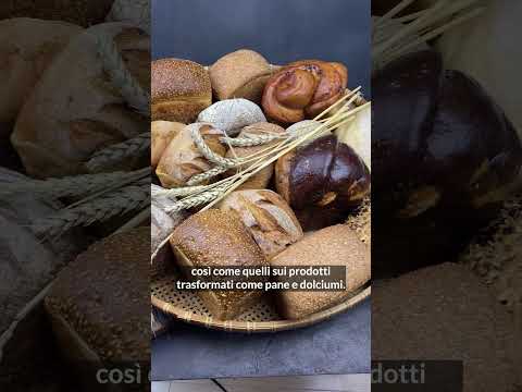 Accordo Ue-India: dazi più che dimezzati sull'export