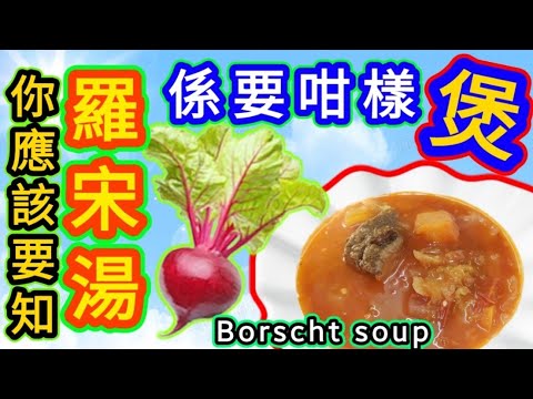 真正羅宋湯🔵Borscht soup🔴