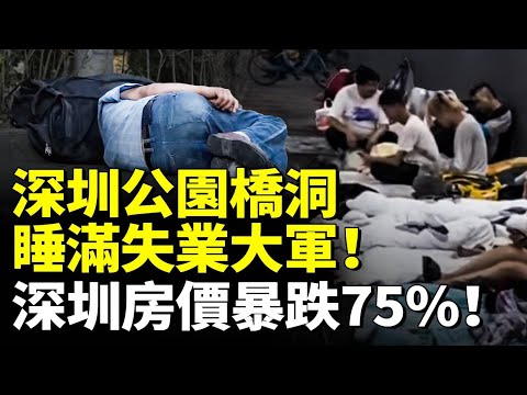 深圳撐不下去了!公園、橋洞睡滿失業大軍!深圳房價暴跌75 #看大陸 #睇大陸