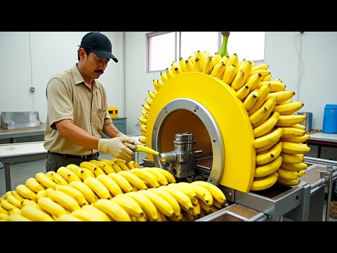 30 Minutes Of Amazing Continuous Production Machinery & Most Admirable Worker Ever Before