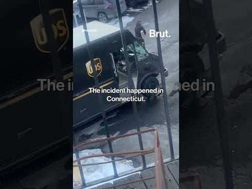 UPS driver vs wild turkeys.