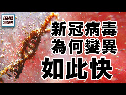 看病毒如何借刀殺人:你的免疫系統可能會殺死你!|病毒入侵+炎症風暴|思維實驗室·合集