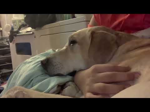 Hang out with my child