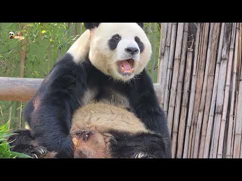 ๐20251203 ๐ฆ์ธํ+ํ์ ์ค์ ์์๐ฆ๐์๊ฐํ๋ ์์ด๋ฐ์ค/์์ง๋ด๋ ๋ฃจ์ดํ์ด/์ฒํํํ ๋ฌ๋ฐ์ค๐๐ผ๋ฃจ์ด๋ฐ์ค๐ผํ์ด๋ฐ์ค๐ผ๋ฌ๋ฐ์ค๐ผ์์ด๋ฐ์ค๐ฆ๋ ๋ชฌ๐ฆ๐