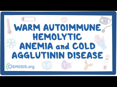 Warm autoimmune hemolytic anemia and cold agglutinin (NORD)