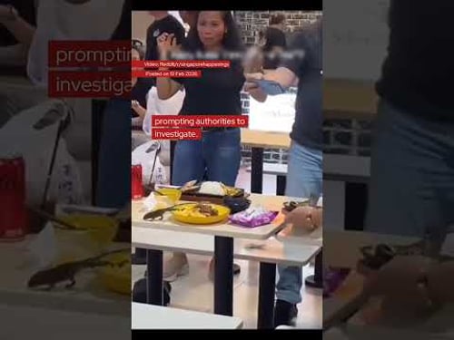 SFA investigating rodent sighting at Lucky Plaza foodcourt after video circulates online