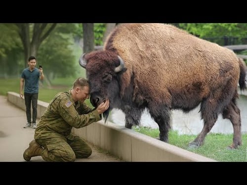 101 Times When Animals Reunited With Owners After Years Will Melt Even the Coldest Hearts 💔