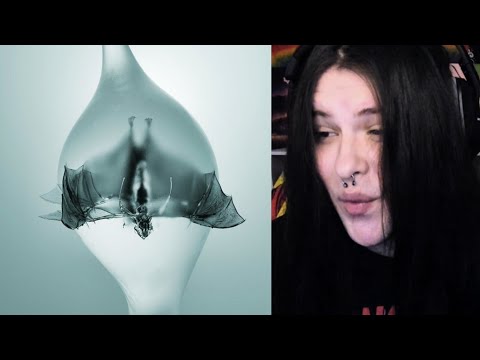 BLOWN AWAY by Unprocessed - Angel | Full Album REACTION!