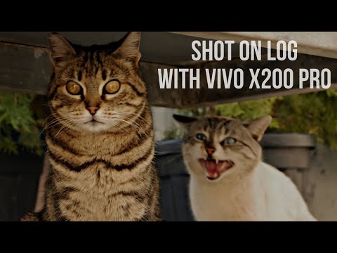 6 MIN de LOG con el VIVO X200 PRO - RECOPILACIÓN 🦜🎬😻