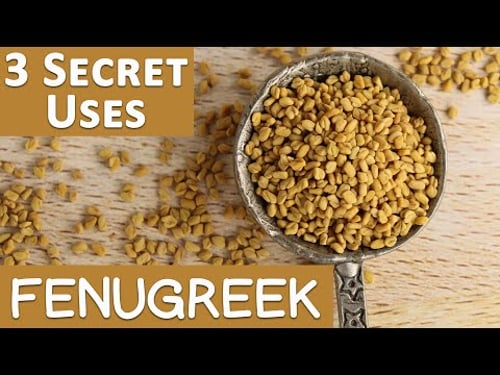 3 Secret Uses of Fenugreek Benefits for Women and Men