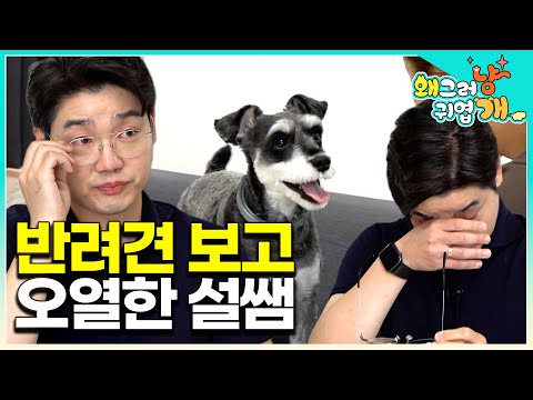 "It seems like the child who crossed the rainbow bridge has returned..." The sad story of a schna...