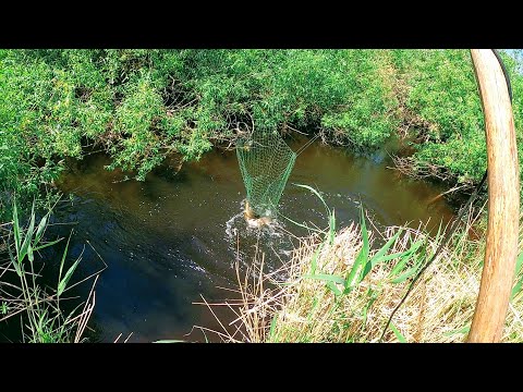 Fishing with a SPIDER LIFT, caught all sorts of fish in a snag-filled stream. Fishing in Siberia ...