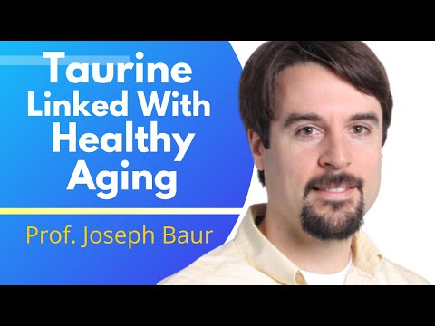 A Longevity Expert's Review Of "Taurine Deficiency As a Driver Of Aging" | Prof Joseph Baur