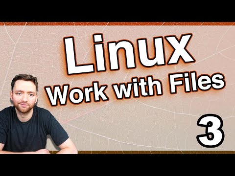 Working with Files in Linux (Basics in Ubuntu)