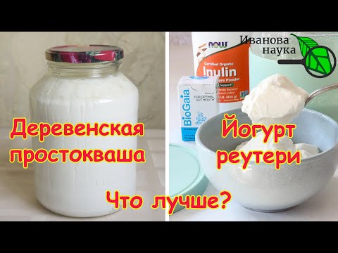 VILLAGE YOGURT or REUTERI YOGURT? What is the difference and which is better?