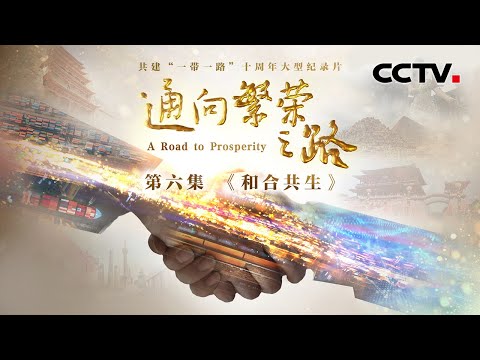 玛雅遗址里的月神抱着一只兔子?中外33项联合考古合作,共同探寻“一带一路”上的文明足迹《通向繁荣之路》 第6集 和合共生 | CCTV「通向繁荣之路」
