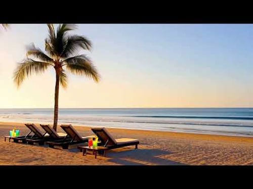 Tropical Beach Ambience | Calm Ocean Waves, Palm Trees & Summer Vibes ☀️🌴