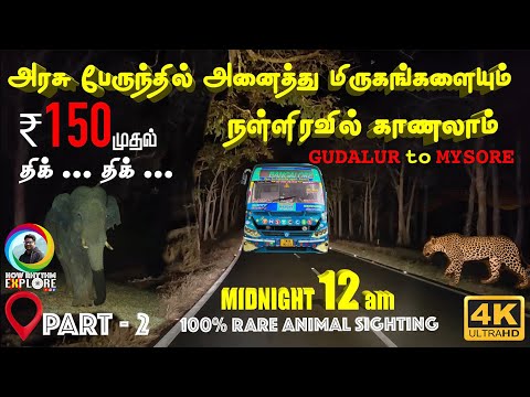 Mudumalai & Bandipur Thrill Mid Night Bus Journey 😱Heart Stopping😨 Ooty to Mysore❌TNSTC PART 2