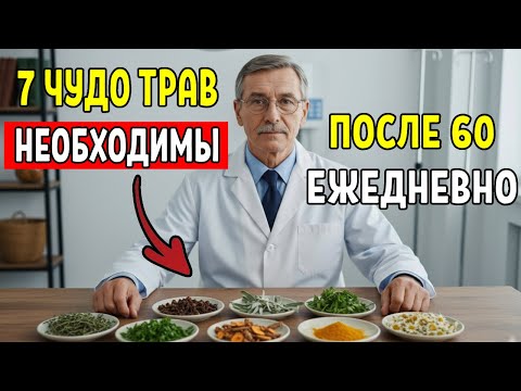 7 трав которые омолаживают клетки мозга