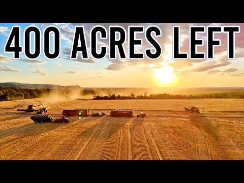 We have Waited All Year for This Moment! | Harvest 2025 Ep 15 | Vlog 443