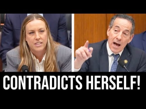 Rep. Jamie Raskin DESTROYS Trump Think Tank Lawyer as She CONTRADICTS Herself
