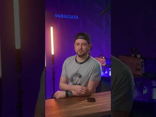 Five Words Friday 2/2023 #shorts