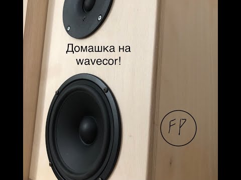 БЮДЖЕТНАЯ ДОМАШКА НА WAVECOR.ДОМАШНЯЯ АКУСТИКА ЗА 15000Р